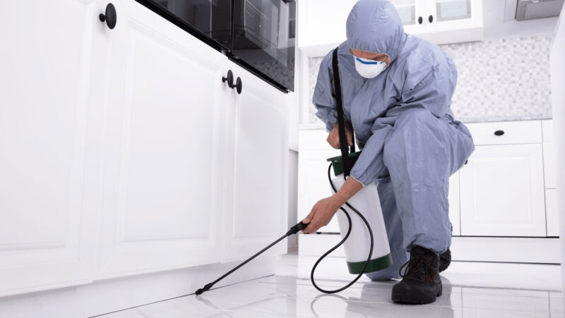 pest control abu dhabi mussafah