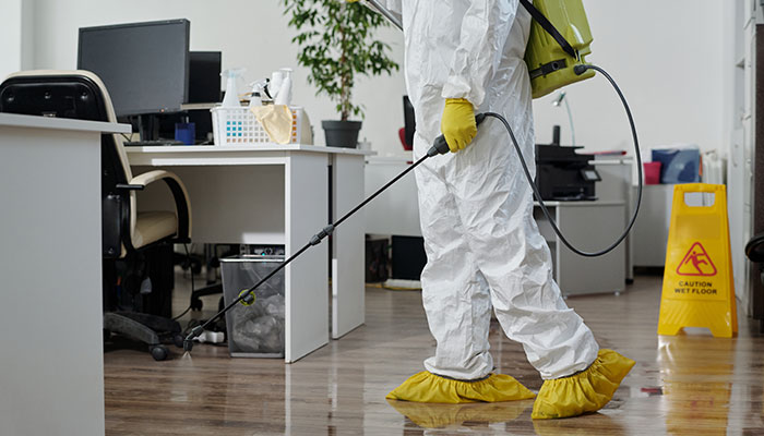 pest control & termite treatment Abu Dhabi