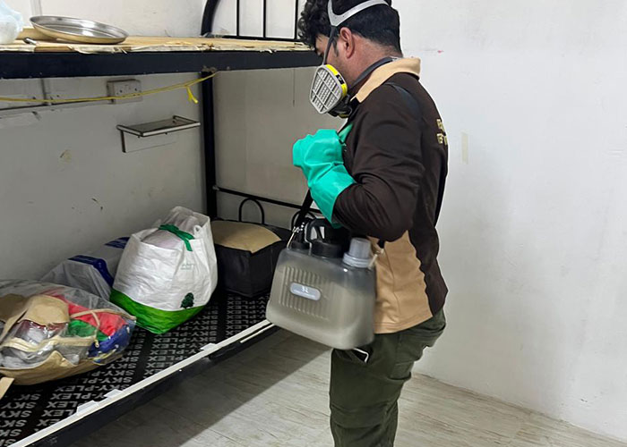 bed bug contol abu dhabi