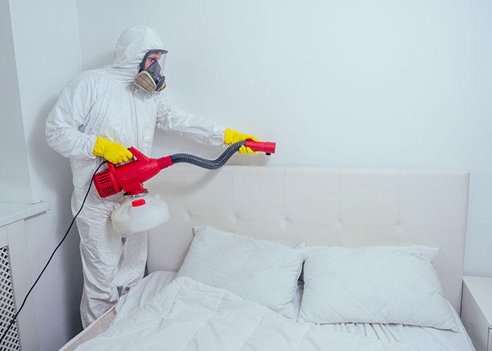 Pest control control in khalifa city