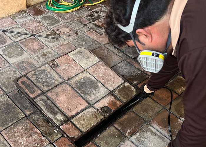 Best cockroach pest control in Abu Dhabi