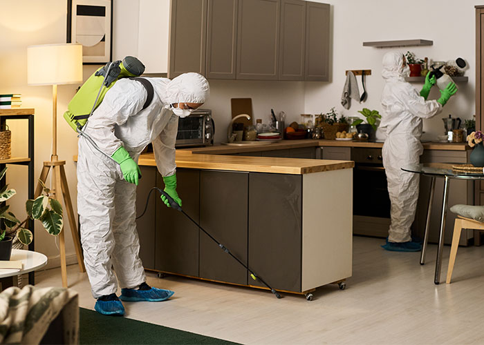 Pest control control in khalifa city