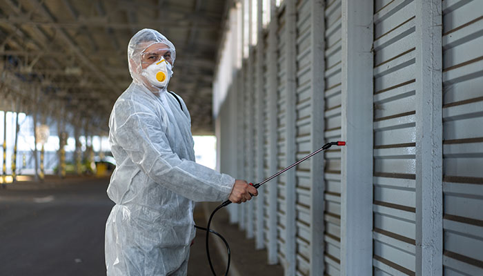 pest control & termite treatment Abu Dhabi