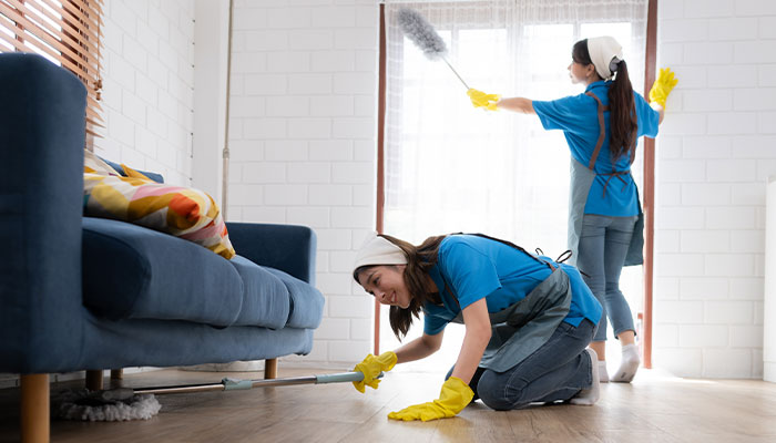 termite treatment experts Abu Dhabi