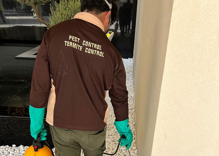 pest control & termite treatment Abu Dhabi