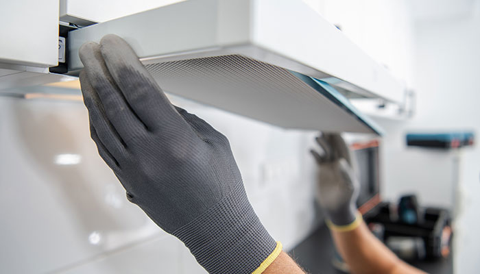 Termite treatment Abu Dhabi