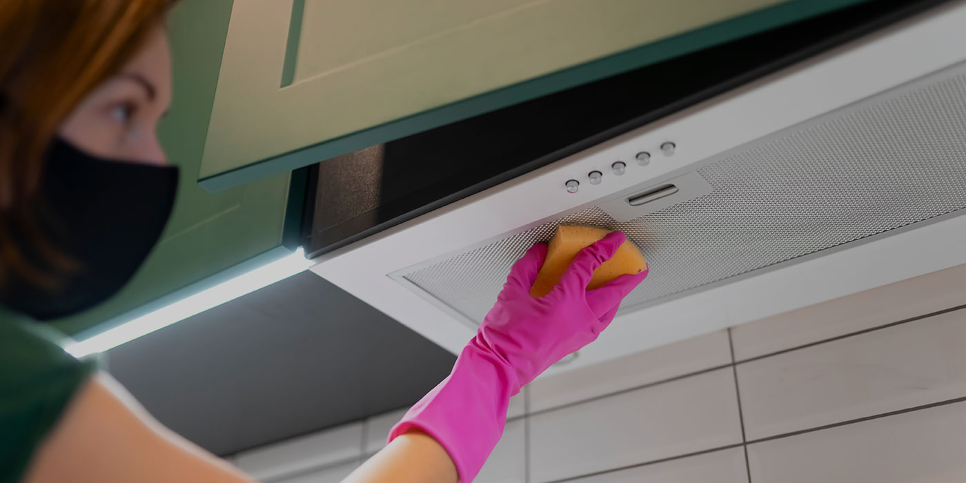 Termite treatment Abu Dhabi