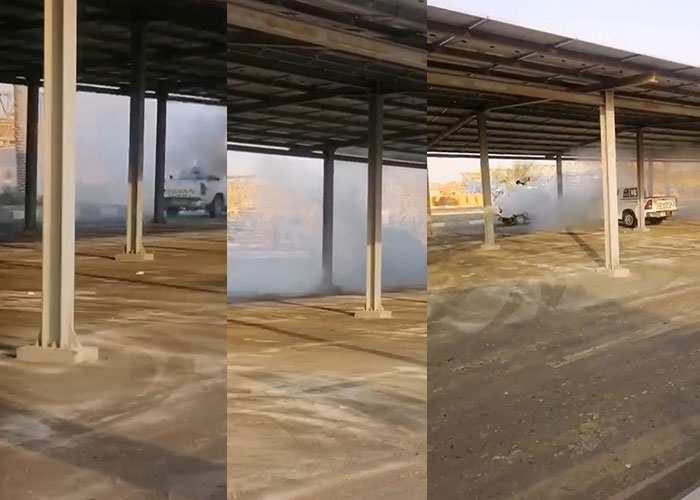 pest control & termite treatment Abu Dhabi