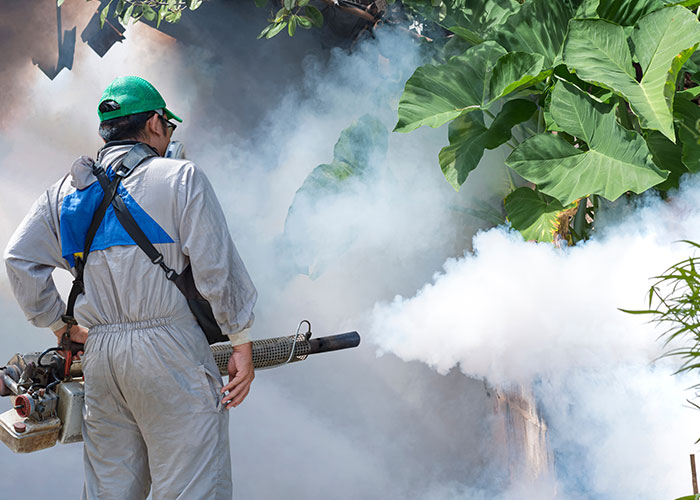 Pest control control in khalifa city