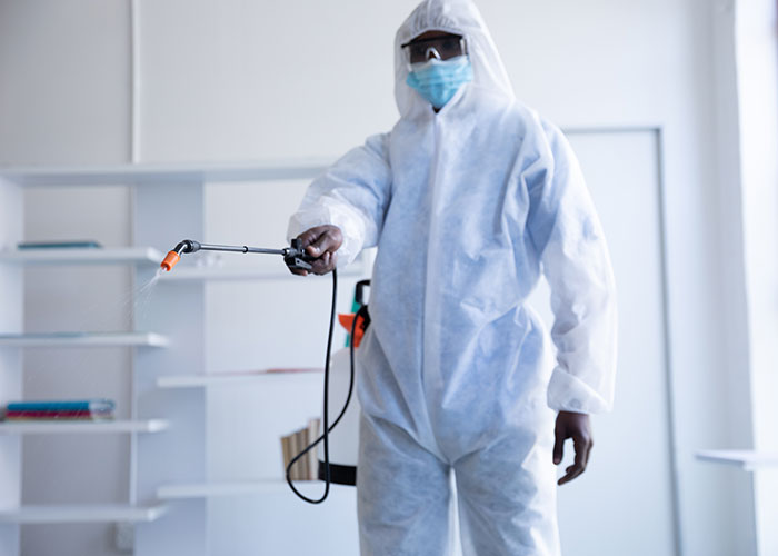 Pest control control in khalifa city