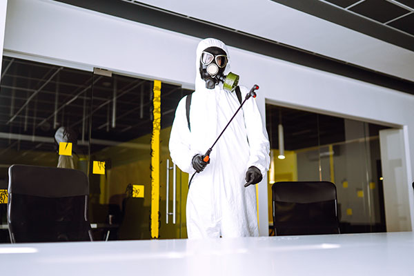 Termite control Abu Dhabi