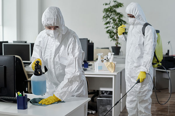 Termite control Abu Dhabi