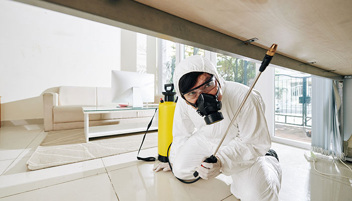 Pest control mussafah