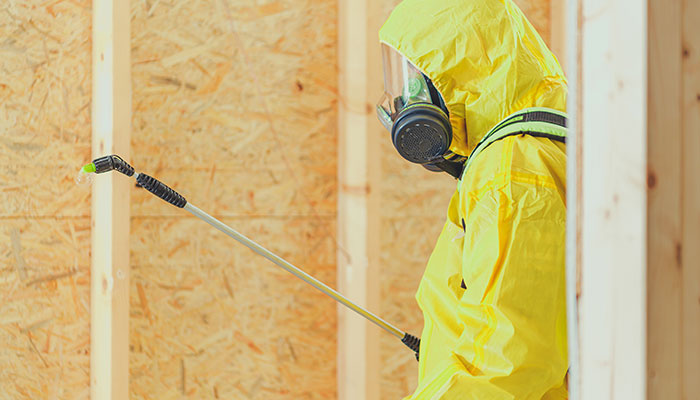 pest control & termite treatment Abu Dhabi