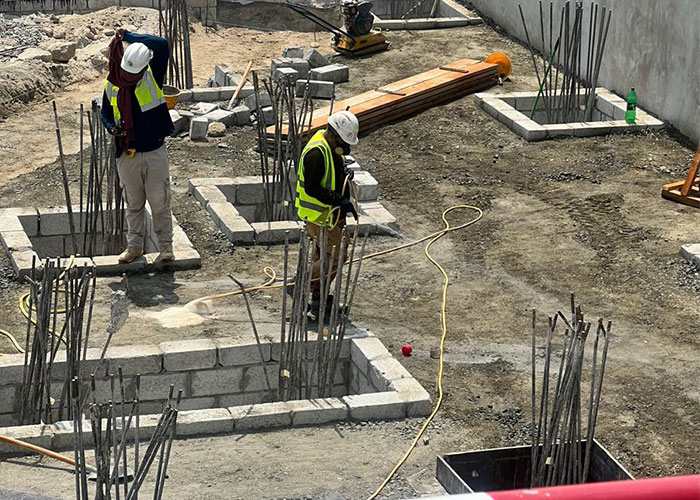 Termite treatment Abu Dhabi