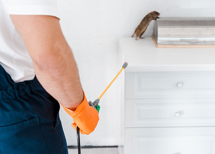 Pest control control in khalifa city