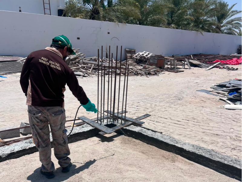 termite-control-in-Abu-Dhabi