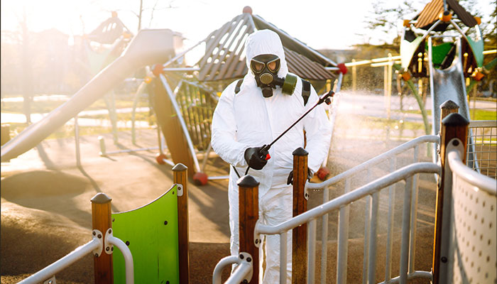 termite treatment experts Abu Dhabi