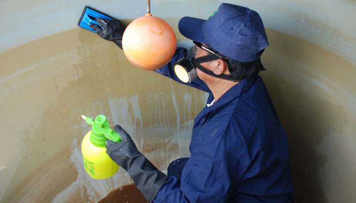 termite treatment experts Abu Dhabi