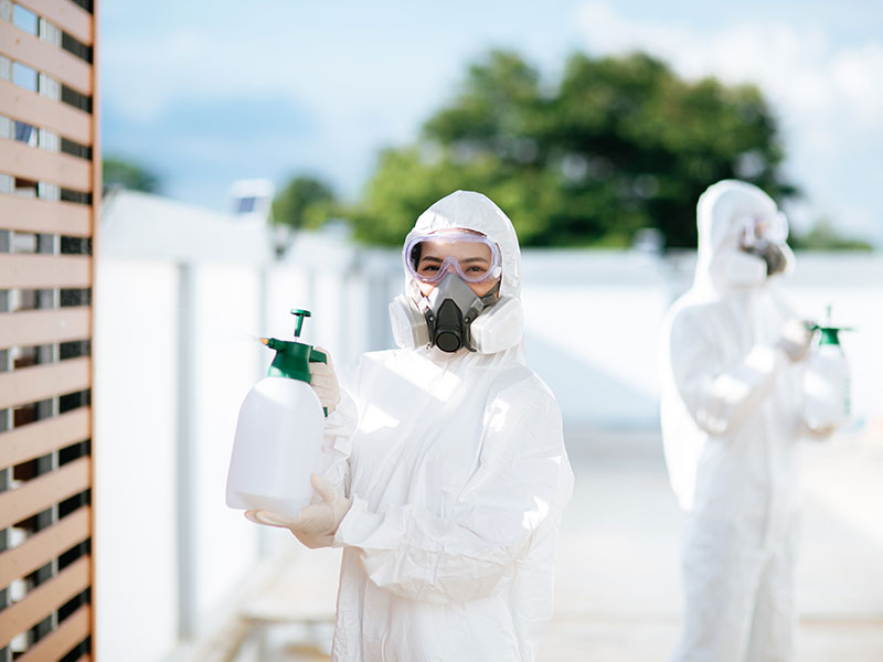 pest control & termite treatment Abu Dhabi