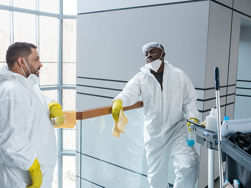 pest control & termite treatment Abu Dhabi