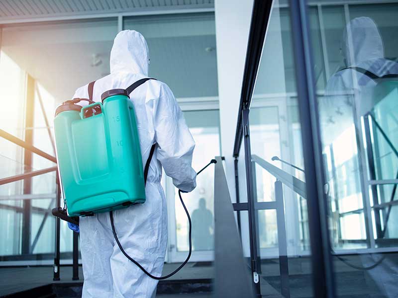 Pest control control in khalifa city