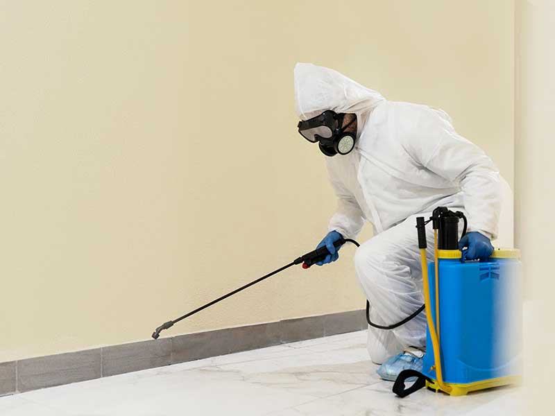 Pest control control in khalifa city