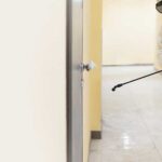 Termite control Abu Dhabi