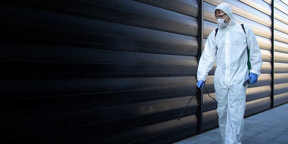 Termite treatment Abu Dhabi