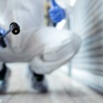 Termite treatment Abu Dhabi