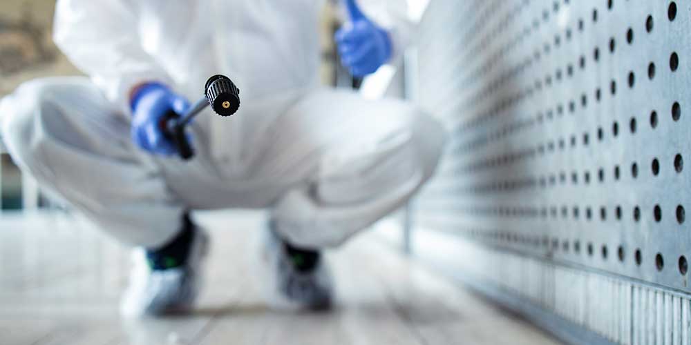 Termite treatment Abu Dhabi