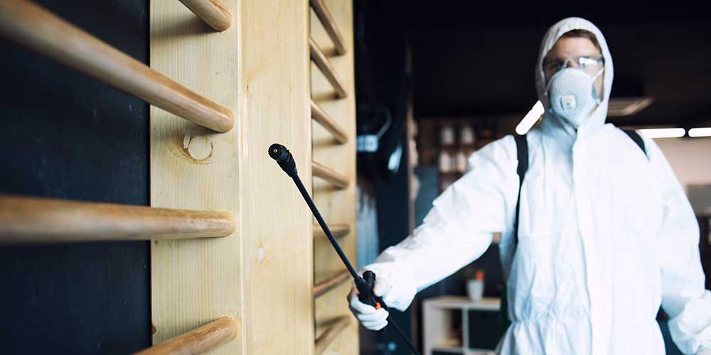 Termite treatment Abu Dhabi