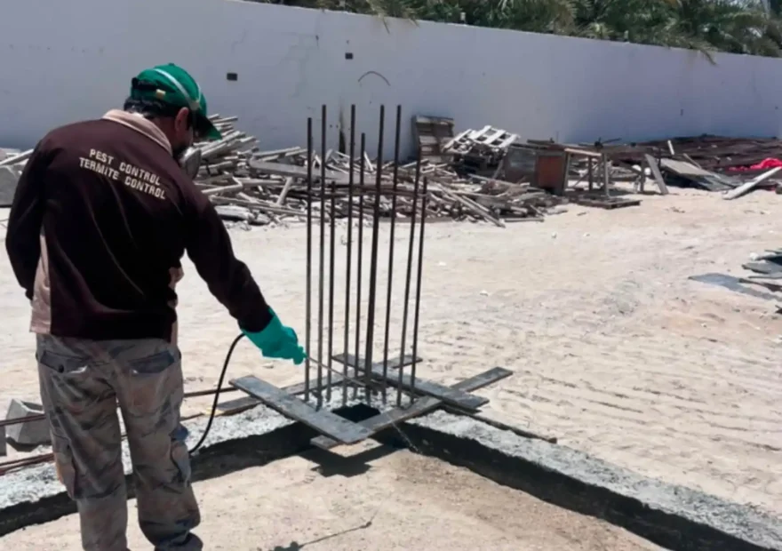 pest-control-AbuDhabi